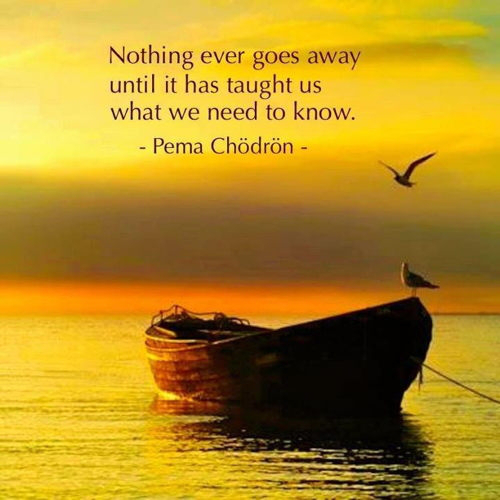 Pema Chodron quote