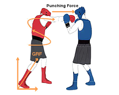 GRF illustration from western boxing